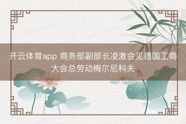 开云体育app 商务部副部长凌激会见德国工商大会总劳动梅尔尼科夫