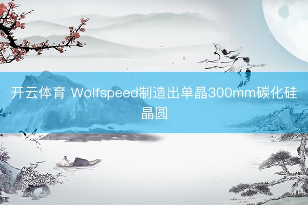 开云体育 Wolfspeed制造出单晶300mm碳化硅晶圆