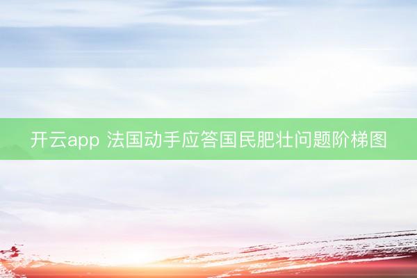 开云app 法国动手应答国民肥壮问题阶梯图