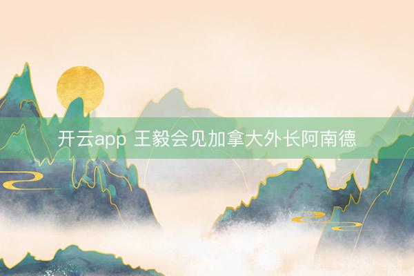 开云app 王毅会见加拿大外长阿南德
