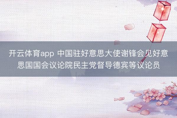 开云体育app 中国驻好意思大使谢锋会见好意思国国会议论院民主党督导德宾等议论员