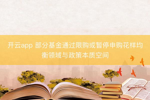 开云app 部分基金通过限购或暂停申购花样均衡领域与政策本质空间