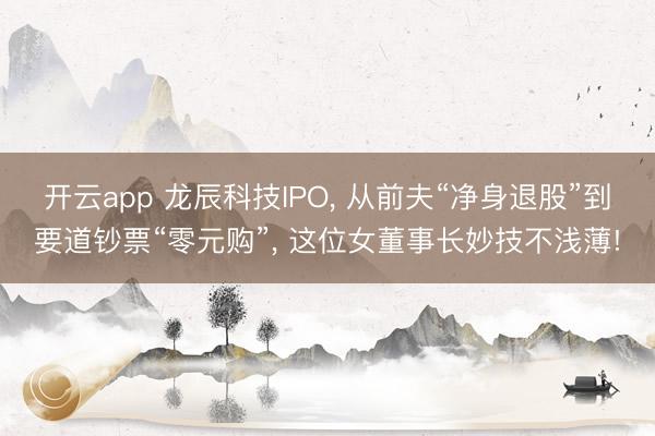 开云app 龙辰科技IPO， 从前夫“净身退股”到要道钞票“零元购”， 这位女董事长妙技不浅薄!