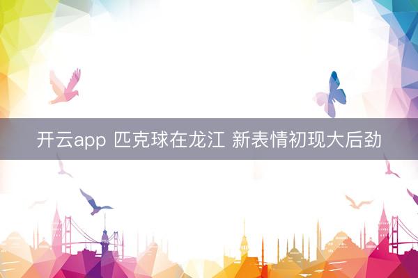 开云app 匹克球在龙江 新表情初现大后劲