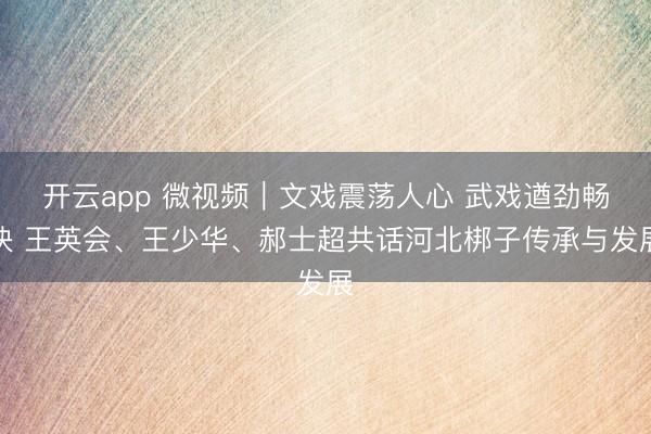 开云app 微视频｜文戏震荡人心 武戏遒劲畅快 王英会、王少华、郝士超共话河北梆子传承与发展