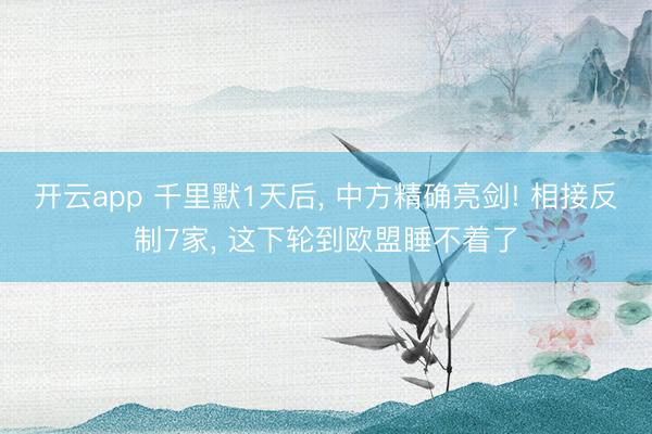 开云app 千里默1天后， 中方精确亮剑! 相接反制7家， 这下轮到欧盟睡不着了