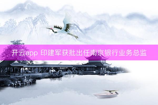 开云app 印建军获批出任南京银行业务总监